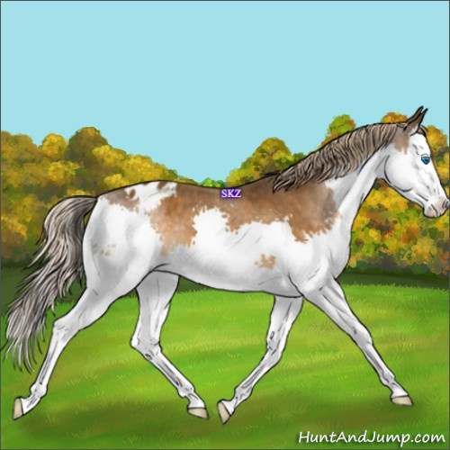 Horse Color:Chocolate Palomino Sabino Splash Varnish