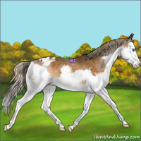 Horse Color:Chocolate Palomino Sabino Splash Varnish 