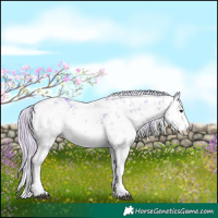 Horse Color:Watercolor White Spotted Silver Brown Ice Sabino 