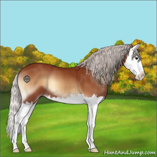 Horse Color:Silver Brown Onyx Splash 
