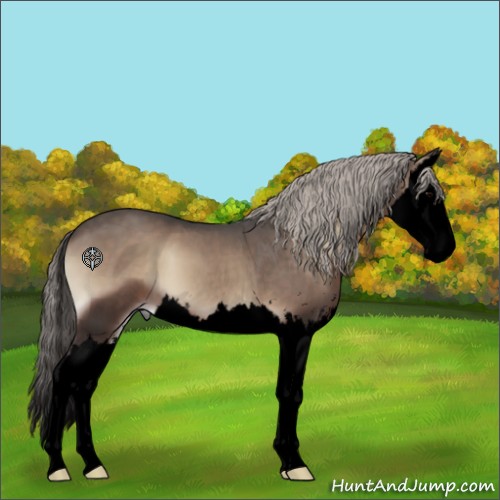 Horse Color:Void Silver Blue Onyx Sabino Splash 