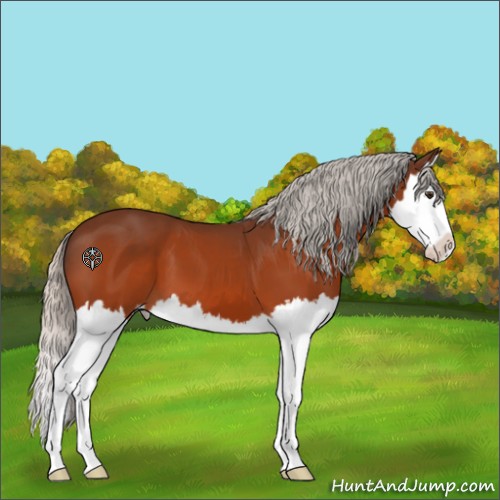 Horse Color:Silver Brown Splash 