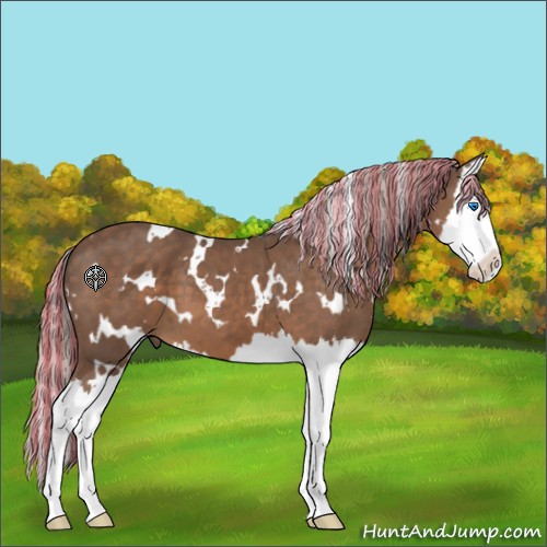 Horse Color:Painted White Spotted Silver Black Splash 