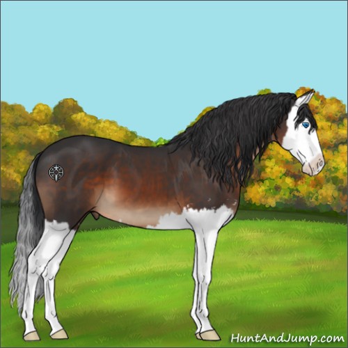Horse Color:Brown Sabino Splash 