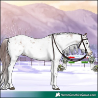 Horse Color:Chocolate Brown Sabino Appaloosa 