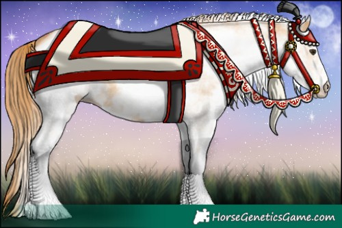 Horse Color:White Spotted Red Dun 
