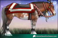 Horse Color:White Spotted Bay 