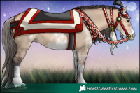 Horse Color:White Spotted Bay Dun 