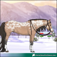 Horse Color:Bay Ice 