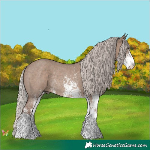 Horse Color:White Spotted Silver Grullo Rabicano 