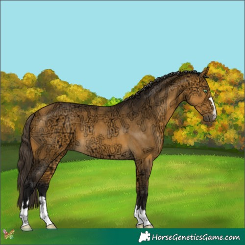 Horse Color:Buckskin Ice