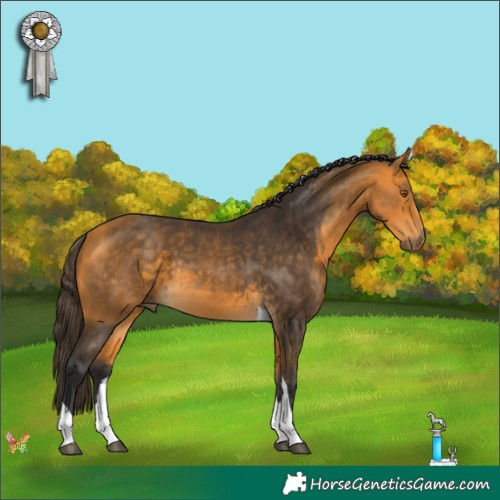 Horse Color:Buckskin Tobiano 