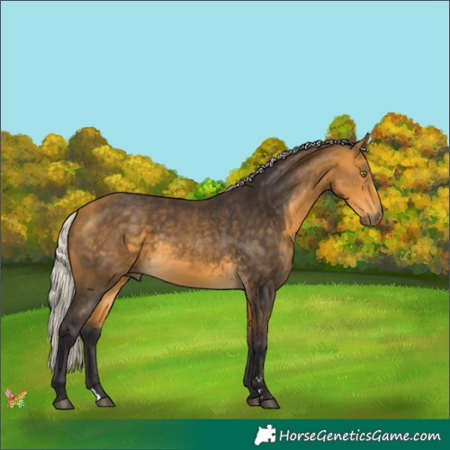 Horse Color:Silver Buckskin 