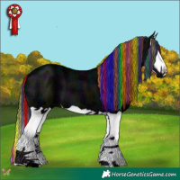 Horse Color:Painted Midnight Black Ice Splash 