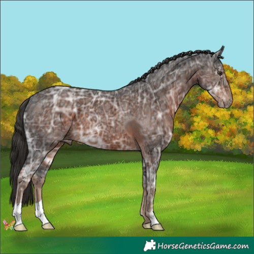 Horse Color:Liver Chestnut Ice 