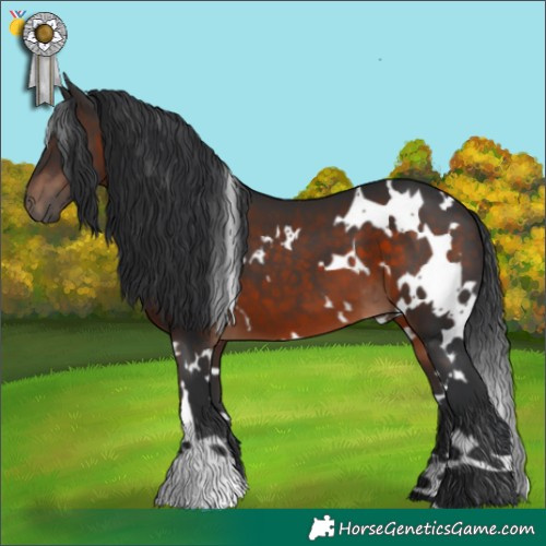 Horse Color:White Spotted Brown 