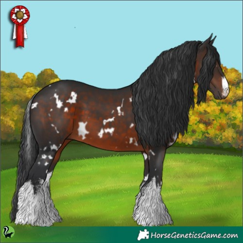 Horse Color:White Spotted Brown 