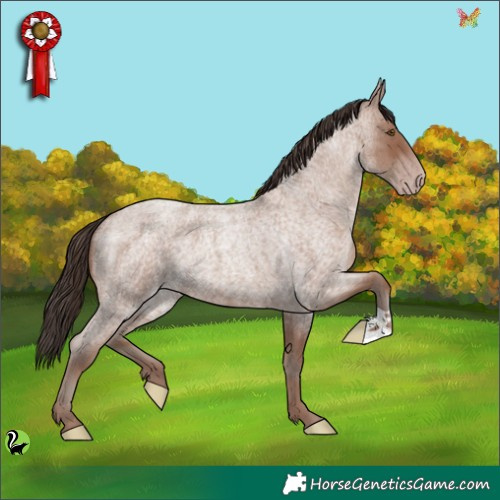 Horse Color:Classic Champagne Roan 