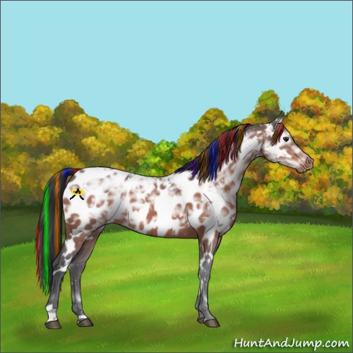 Horse Color:Painted White Spotted Brown Ice Appaloosa 