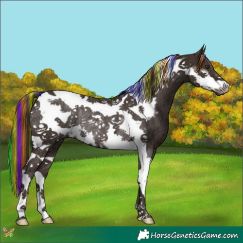 Horse Color:Painted Liver Chestnut Tobiano Frame Rabicano 