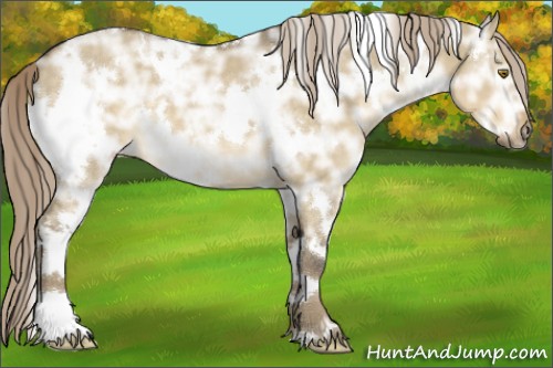 Horse Color:White Spotted Chocolate Palomino Ice Dun 