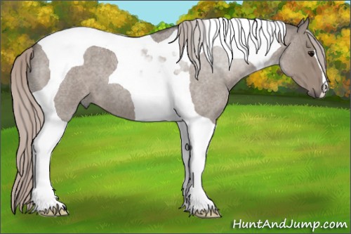 Horse Color:Silver Grullo Roan Tobiano 