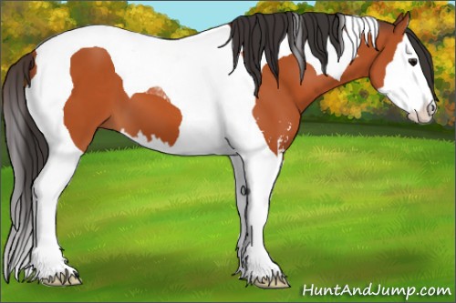 Horse Color:Bay Sabino Splash Tobiano 
