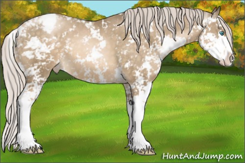 Horse Color:Chocolate Palomino Pearl Sabino Appaloosa 