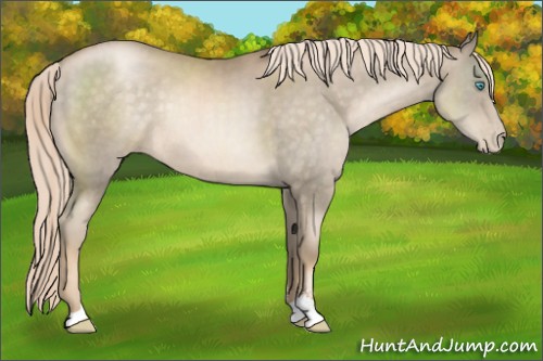 Horse Color:Chocolate Palomino Pearl Sabino Rabicano 