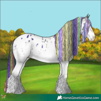 Horse Color:Painted White Spotted Blue Onyx Appaloosa 