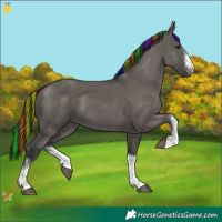 Horse Color:Painted White Spotted Grullo 