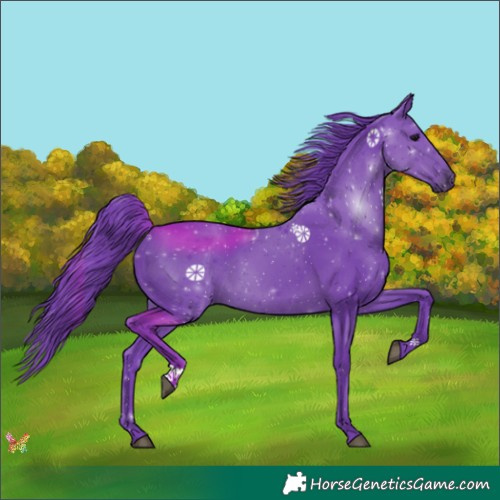 Horse Color:Watercolor Black 