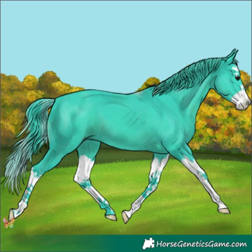 Horse Color:Watercolor Black Splash 