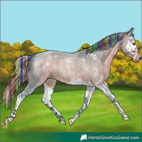 Horse Color:Painted Watercolor Silver Brown Roan Splash 