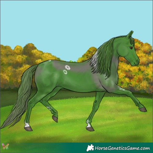 Horse Color:Watercolor Liver Chestnut 