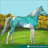 Horse Color:Watercolor Silver Brown Tobiano 