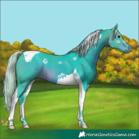 Horse Color:Watercolor Silver Brown Tobiano 