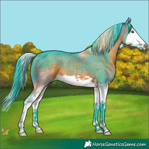 Horse Color:Watercolor Brown Splash 