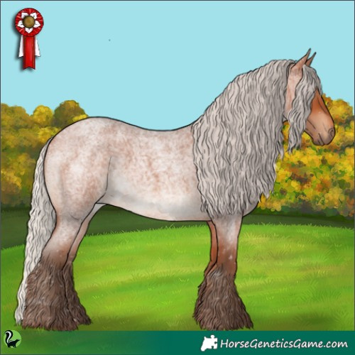 Horse Color:Silver Bay Roan 