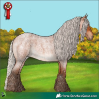 Horse Color:Silver Bay Roan