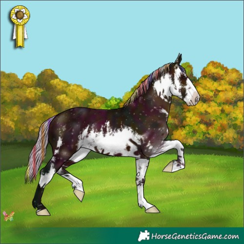 Horse Color:Painted White Spotted Midnight Silver Brown 