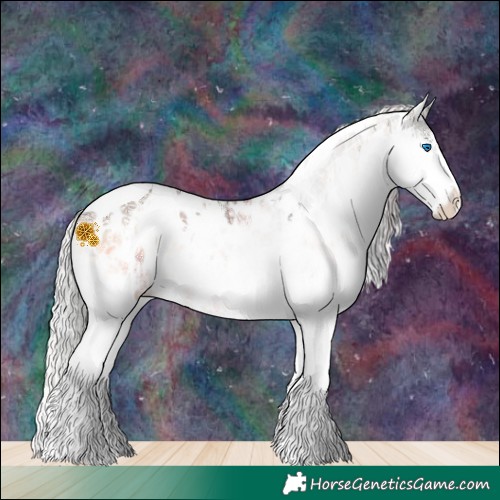 Horse Color:Plaid  White Spotted Silver Brown Ice Onyx Splash Tobiano Leopard  and Plaid  White Spotted Silver Brown Ice Onyx Splash Tobiano Near Leopard 
