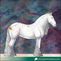 Horse Color:Plaid  White Spotted Silver Brown Ice Onyx Splash Tobiano Appaloosa  and Plaid  White Spotted Silver Brown Ice Onyx Splash Tobiano Appaloosa 
