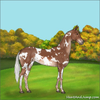 Horse Color:White Spotted Chestnut Mushroom