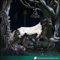 Horse Color:Classic Cream Champagne Appaloosa 