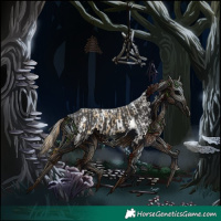 Horse Color:Amber Cream Champagne Dun Appaloosa and Smoky Black Sabino