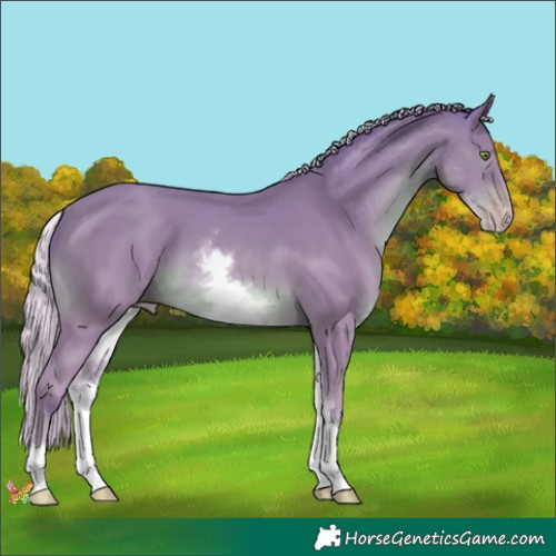 Horse Color:Watercolor White Spotted Silver Amber Champagne 