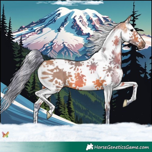 Horse Color:Watercolor Bay Sabino Splash Tobiano Frame 
