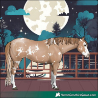 Horse Color:White Spotted Black Pearl Sabino Splash 
