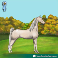 Horse Color:Cremello Snowcap 